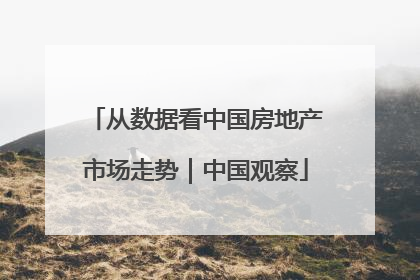 从数据看中国房地产市场走势｜中国观察